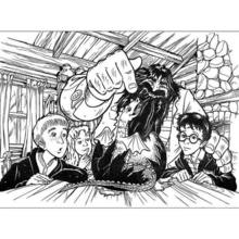 Hagrid and Harry Potter coloring page