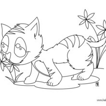 Kitten eating flowers coloring page