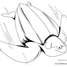 Leatherback turtle coloring page