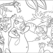 Madagascar Party time coloring page