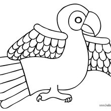 Small parrot coloring page