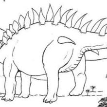 Stegosaurus and palme trees coloring page