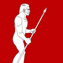 Homo Erectus