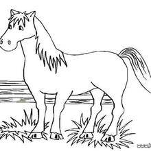 Big horse coloring page