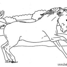 Hoofed Horse coloring page