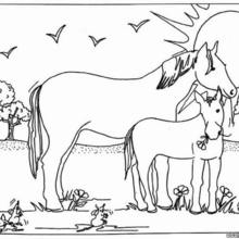 Mare and Foal coloring page