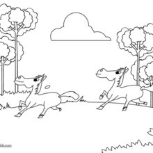 Running Horses coloring page