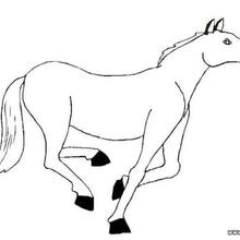 Walking horse coloring page