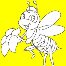 INSECT coloring pages