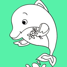 Beyond the sea, DOLPHIN coloring pages