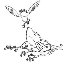 Doves & Roses coloring page