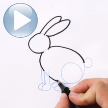 Draw a Rabbit how-to draw lesson