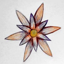 Draw a Rosette how-to draw lesson