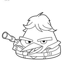 Han Solo angry birds coloring page