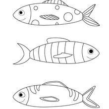 Fool Fishes coloring page