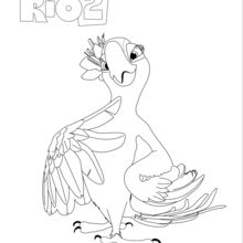 Rio 2 - PERLA coloring page