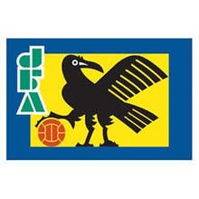 Japanese Soccer Association online puzzle