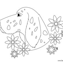 Dog Head coloring page