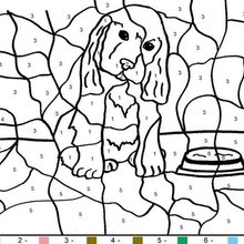 Little dog Color by number coloring page