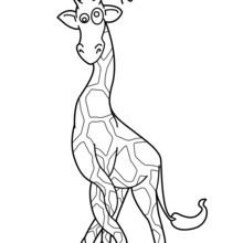 Giraffe in a Twist coloring page