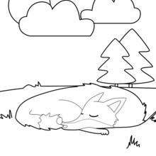 Sleeping Fox coloring page