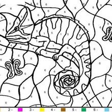 Chameleon Color by number coloring page