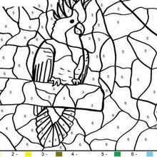 Parrot Color by number coloring page
