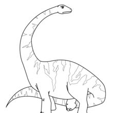 Diplodocus coloring page