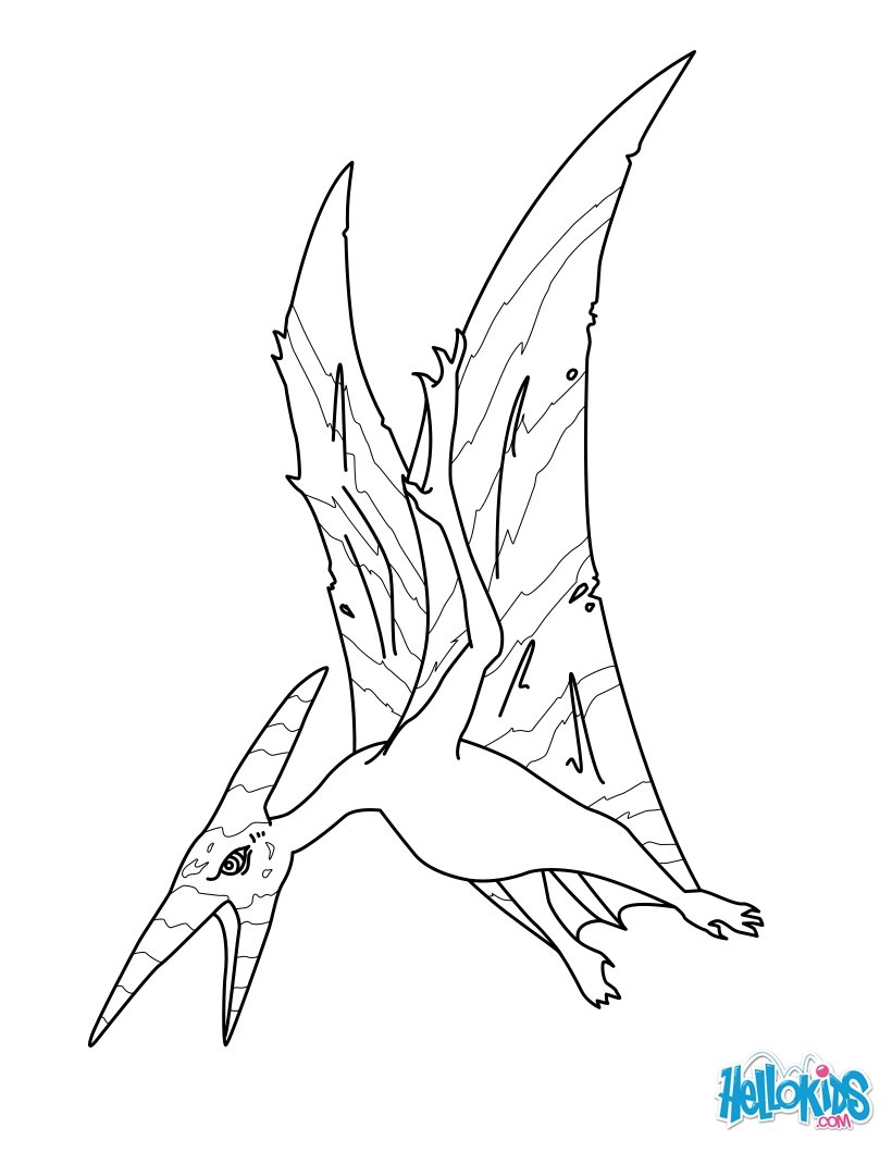 Pteranodon Coloring Pages 3