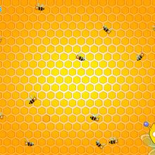 Bees in their Hive wallpaper