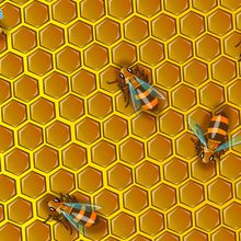 Honey Bees wallpaper