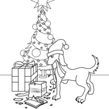 Dog Gifts coloring page
