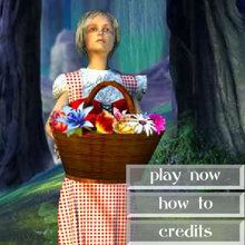 Flower Girl online game