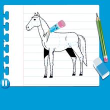 HORSE how-to draw lesson