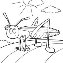Grasshopper coloring page