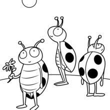 Ladybugs coloring page