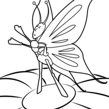 Monarch Butterfly coloring page