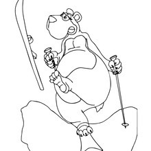 Brown Bear skiing