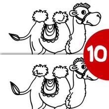 CAMEL find the 10 differences GAME spot the difference game
