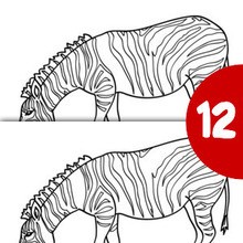 ZEBRA spot the 12 differences game spot the difference game