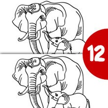 ELEPHANT find the 12 differences spot the difference game