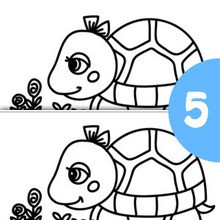 TURTLE spot the 5 differences spot the difference game