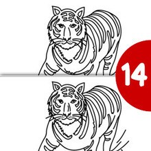 TIGER find the differences game spot the difference game