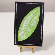 Leaf Picture Display craft for kids