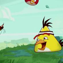Angry Birds Toons - Chuck Time video