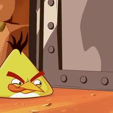 Angry Birds Toons - Gate Crasher video