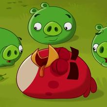Angry Birds Toons - Hypno Pigs video