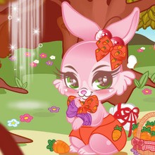 Cute bunny online games 