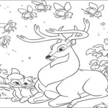 Bambi  1 coloring page