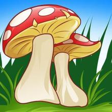 How to Draw Mushrooms how-to draw lesson